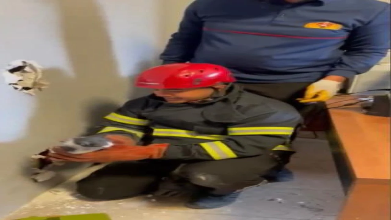 Osmaniyede mahsur kalan yavru kedileri itfaiye ekipleri kurtardı