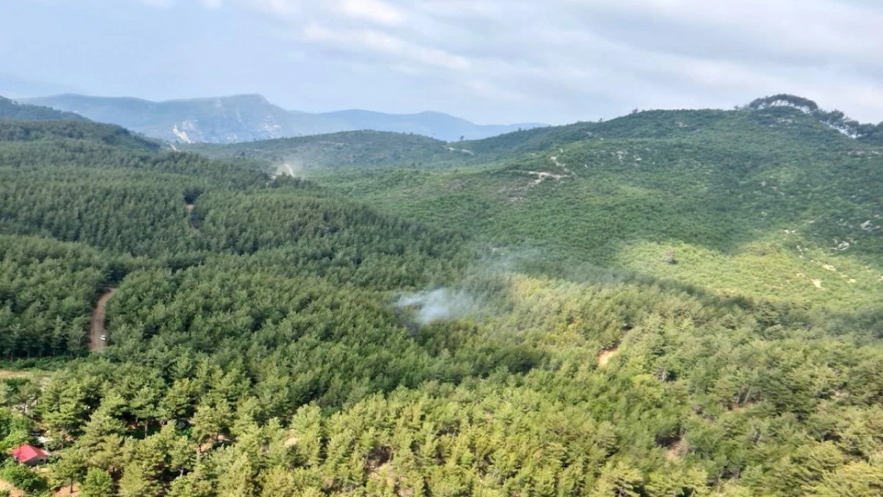 Osmaniyede ormanlık alanlara girişler yasaklandı