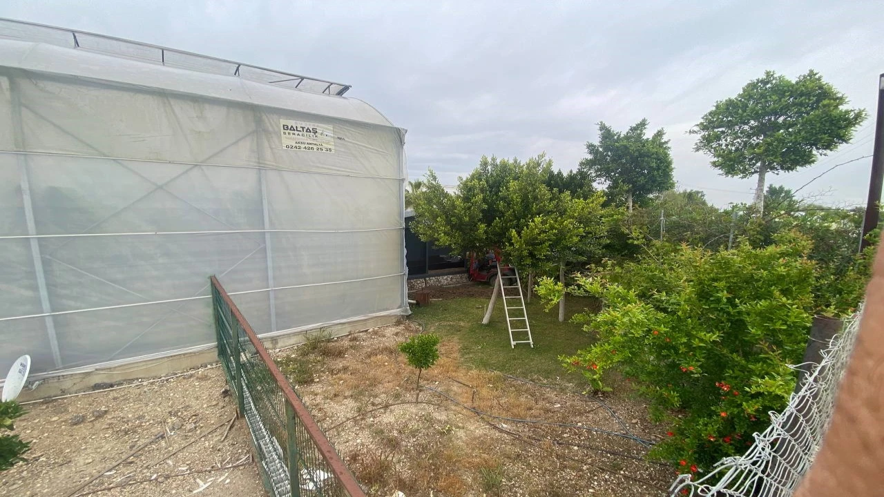 Serikte kamyonet seraya daldı: 1 yaralı