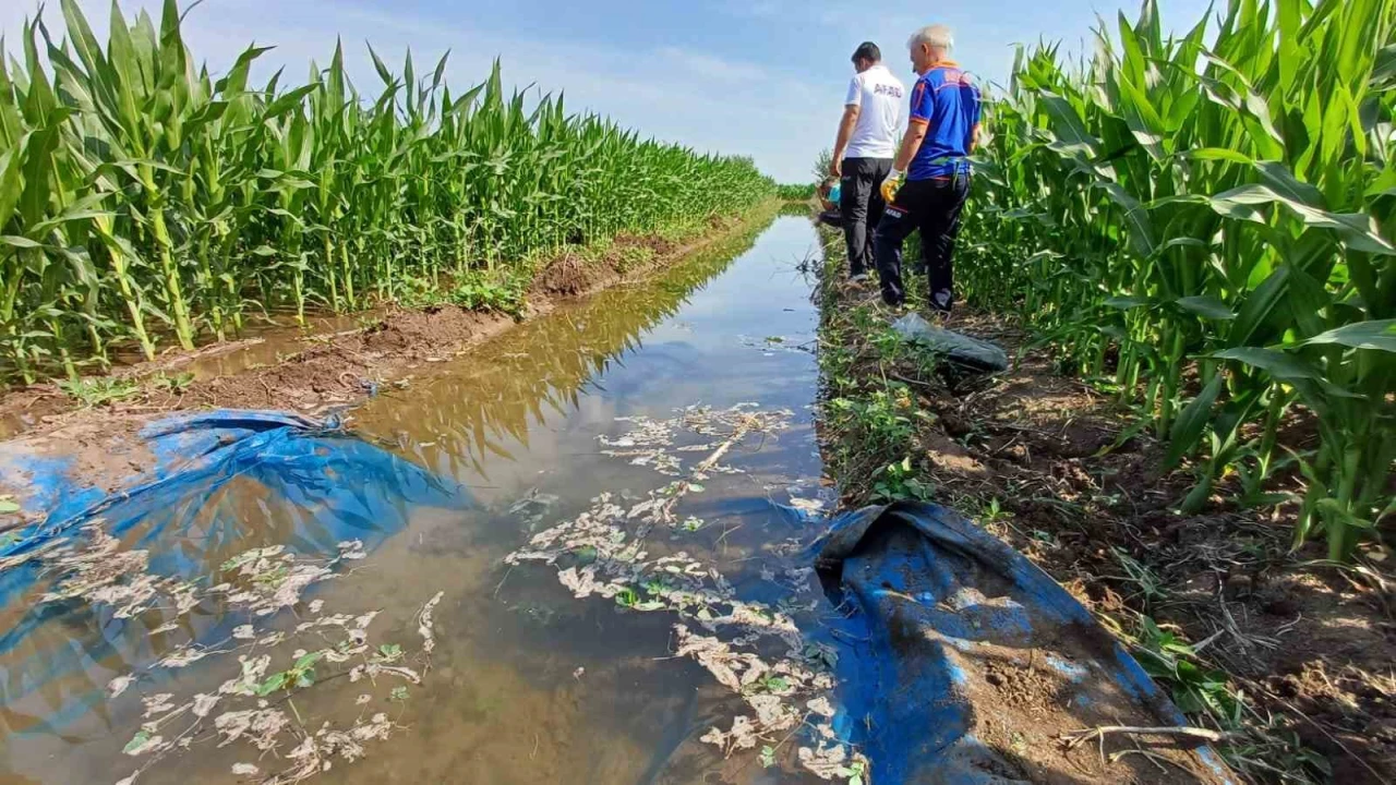 Tarla sulamaya gitti ölü olarak bulundu