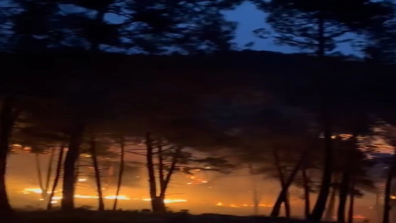 Tarsusta orman yangını