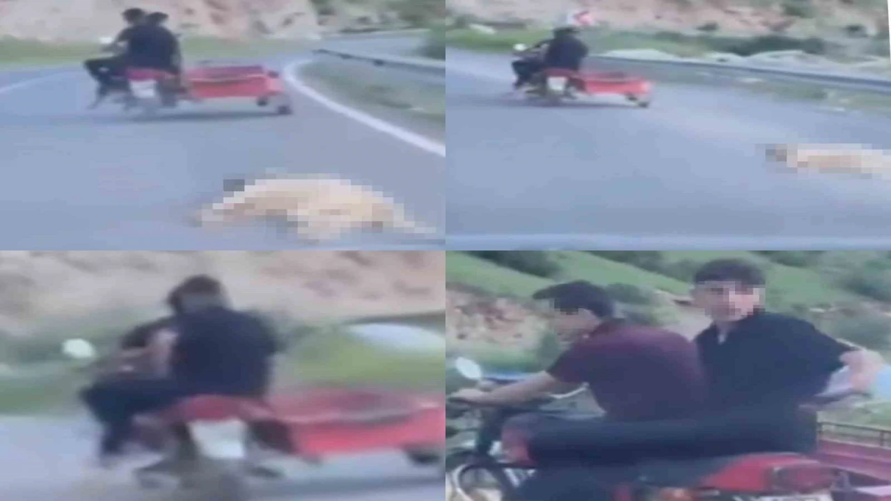 Telef olan köpeği sürükleyen şahsa 50 bin TL ceza