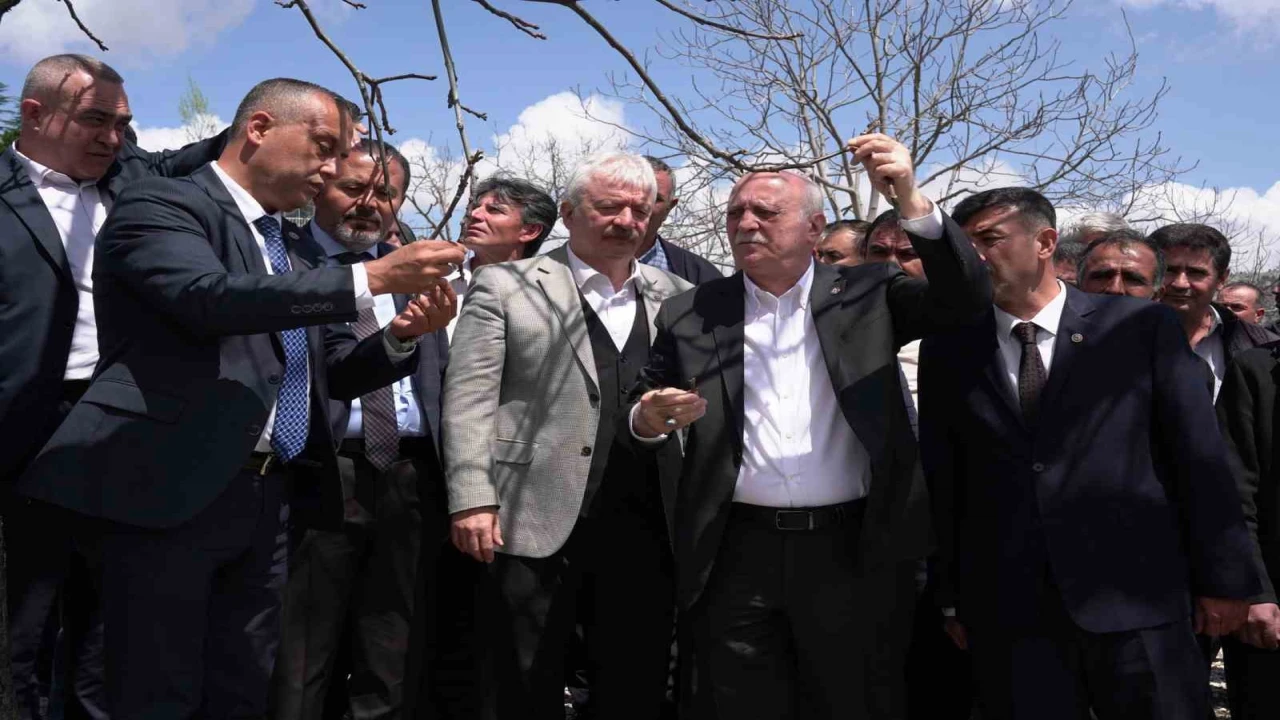 TZOB Başkanı Bayraktar, Kahramanmaraşta zirai dondan etkilenen bahçeleri inceledi