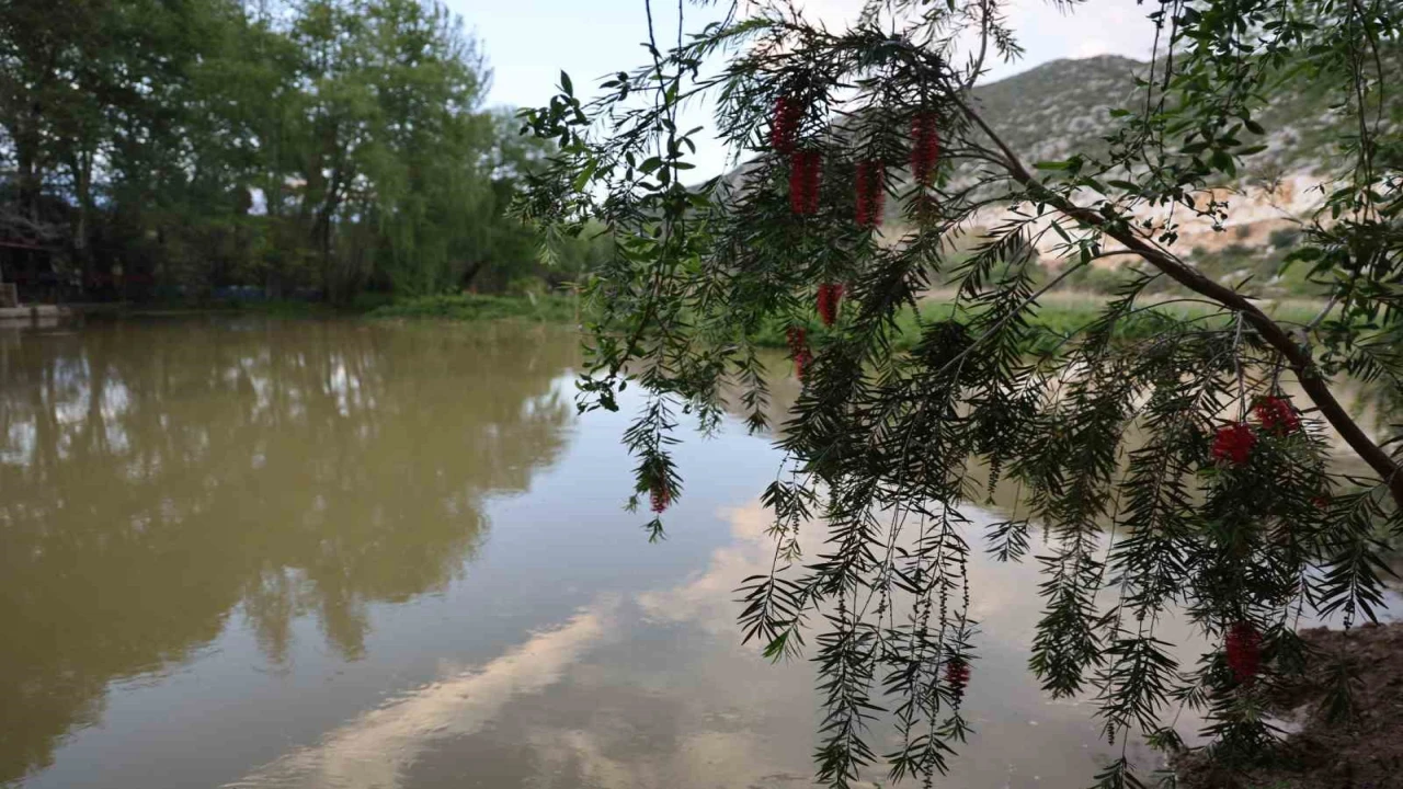 Yağmurlarla birlikte su seviyesi arttı doğa coştu