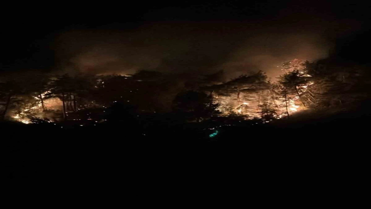 Adana Kozanda orman yangını büyümeden söndürüldü