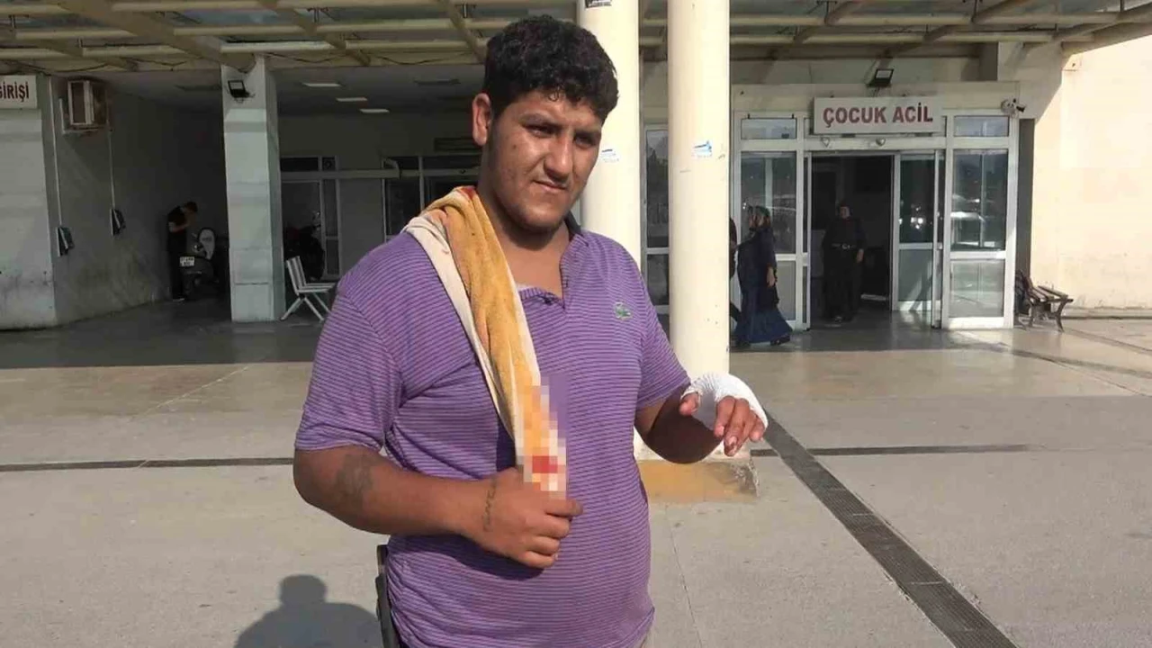 Adanada 194 acemi kasap hastanelik oldu