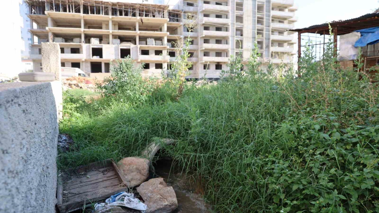 Adanada çevre skandalı: Boru döşeyip lagımı Kilgen Çayına bırakmışlar