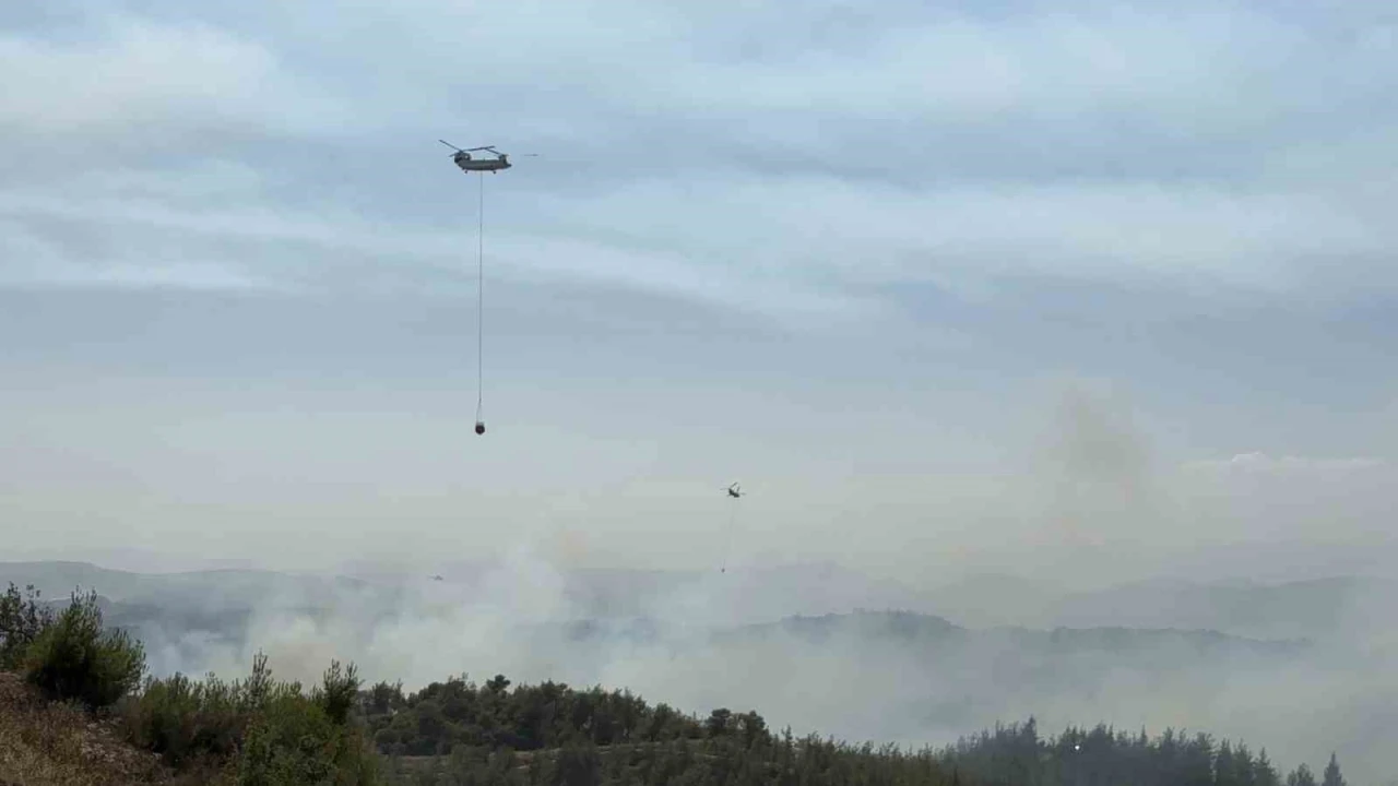 Adanada orman yangını kontrol altında: 6 gözaltı