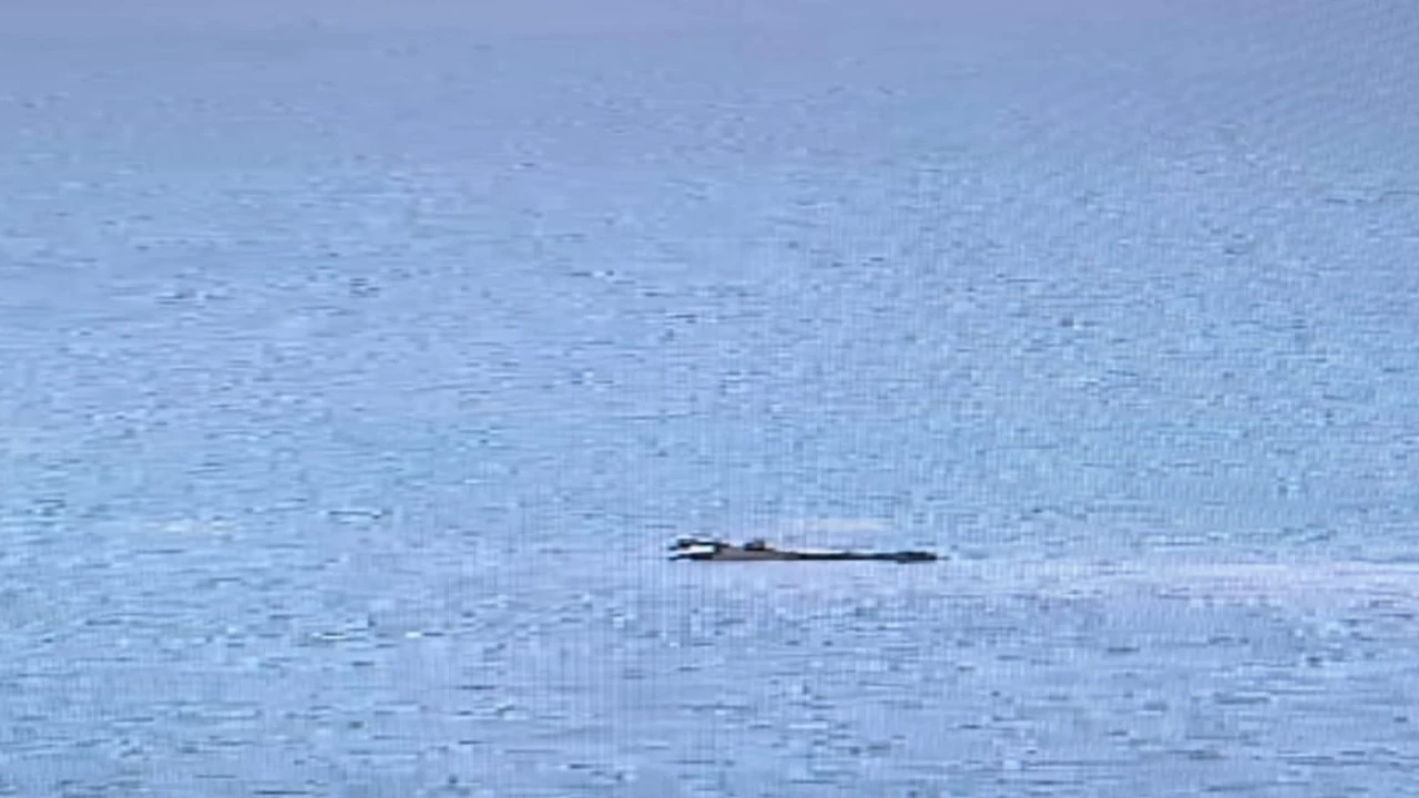 Adanada yangın söndürme uçağı düştü