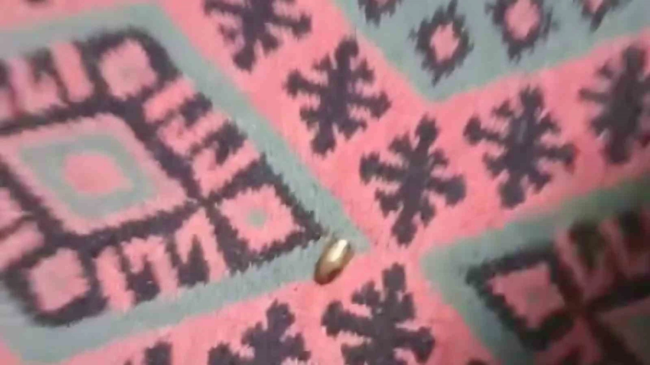 Adanada yorgun mermi, ailenin oturduğu çardağa isabet etti