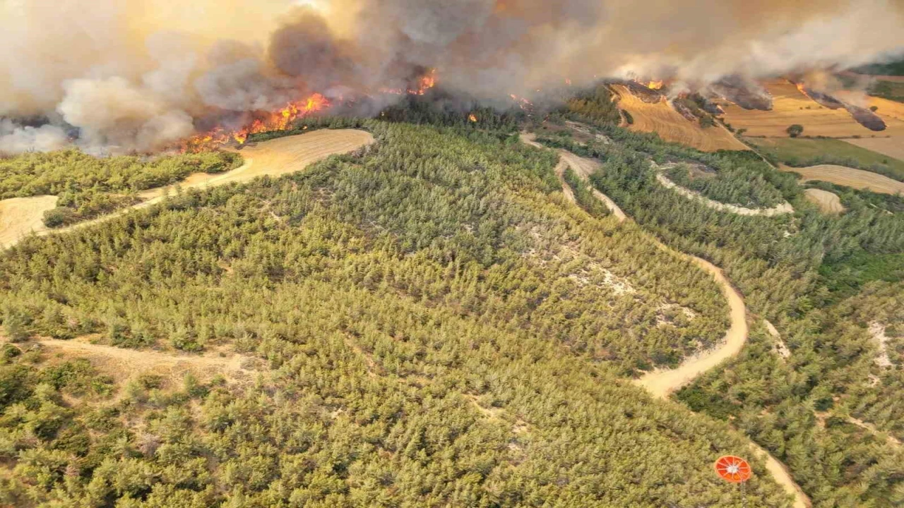 Adanadaki orman yangınına 12 helikopter ve 2 uçakla havadan müdahale