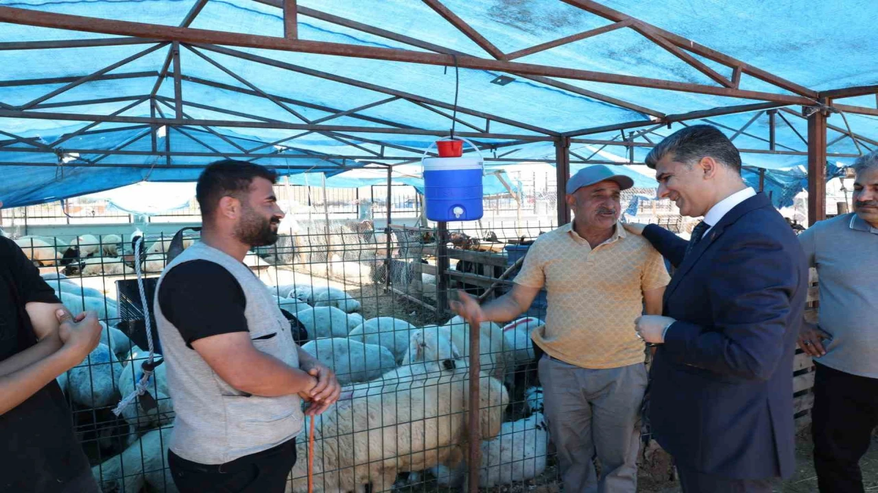 Akdenizde kurban satış yerleri hazır