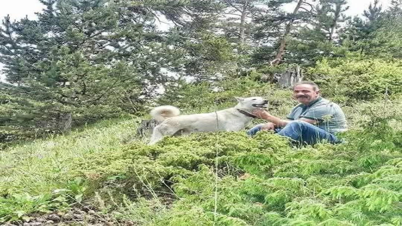 Alanyada kamyon ile damper arasında sıkışan şoför hayatını kaybetti