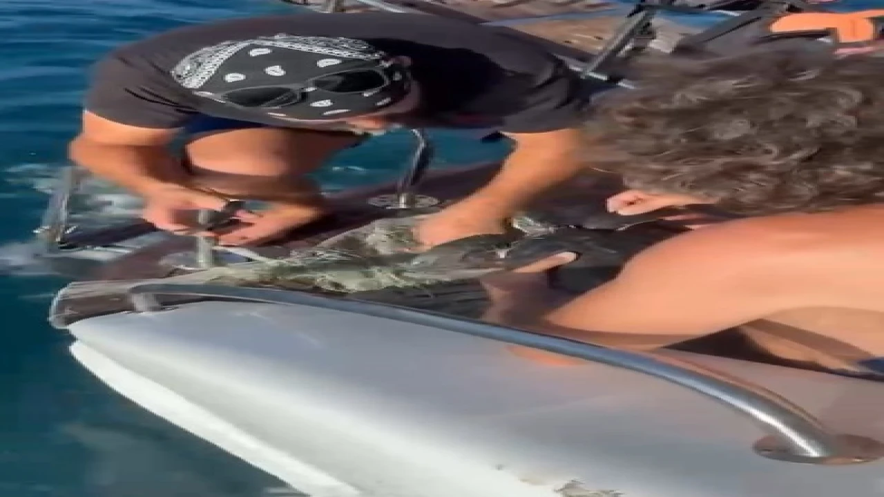 Alanyada plastik çuvala dolanan yavru caretta caretta balıkçılar tarafından kurtarıldı