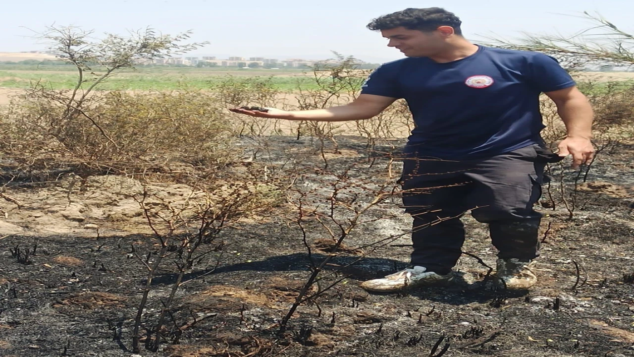 Alevler içinde kalan yavru serçeye, itfaiyeden can suyu