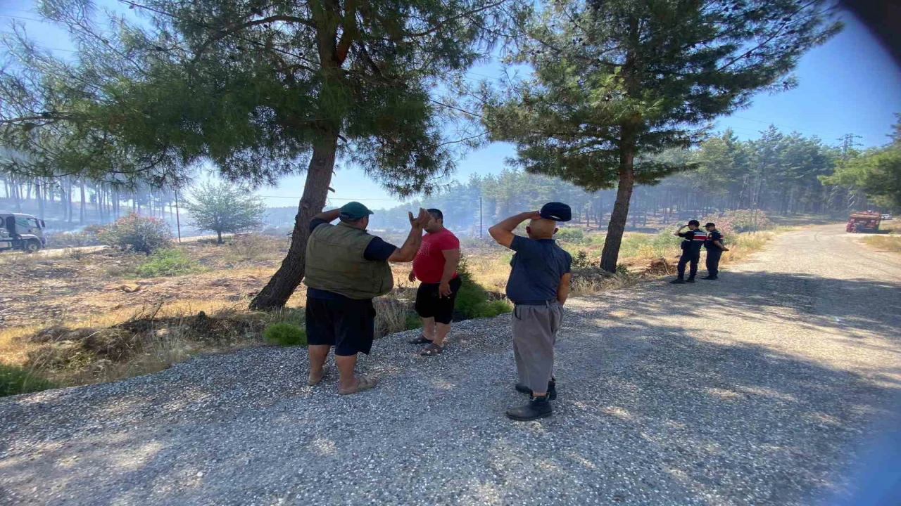 Antalya Aksuda orman yangını kontrol altına alındı