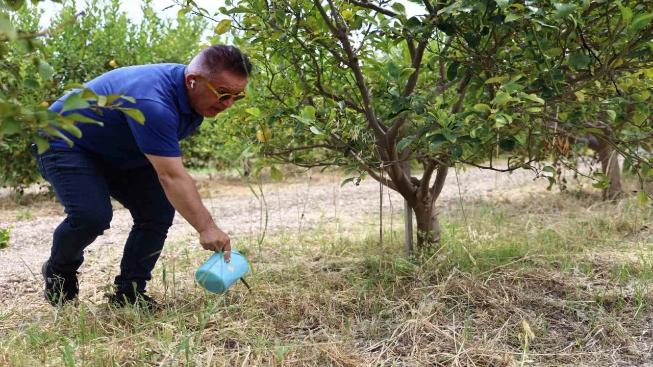 Antalya Büyükşehir Belediyesi, evsel atıklardan organik gübre üretti