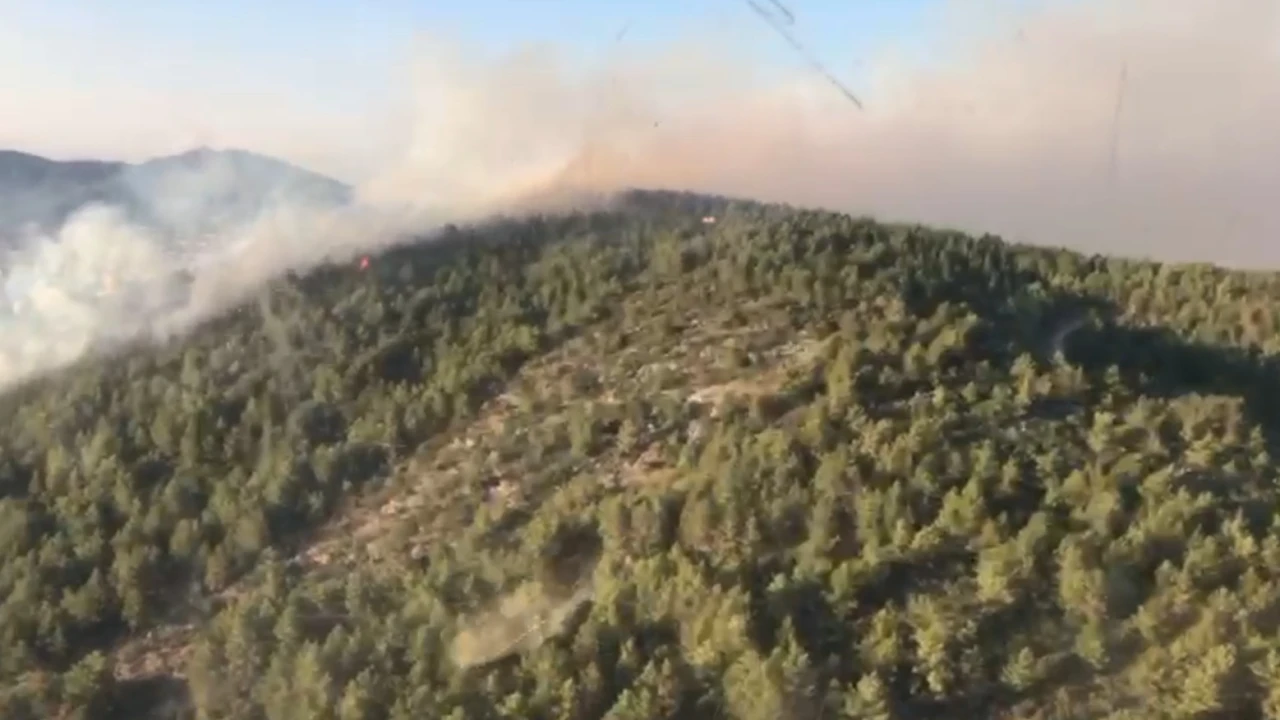 Antalya Gazipaşada orman yangını