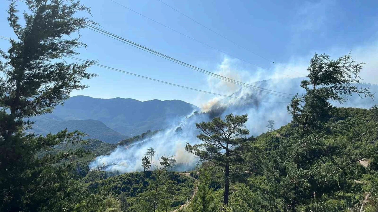 Antalyada 2 ilçede orman yangını