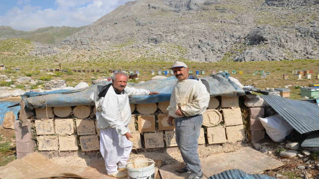 Antalyada arıcılar kara kovanlarını yüksek kesimlerdeki yaylalara çıkardı