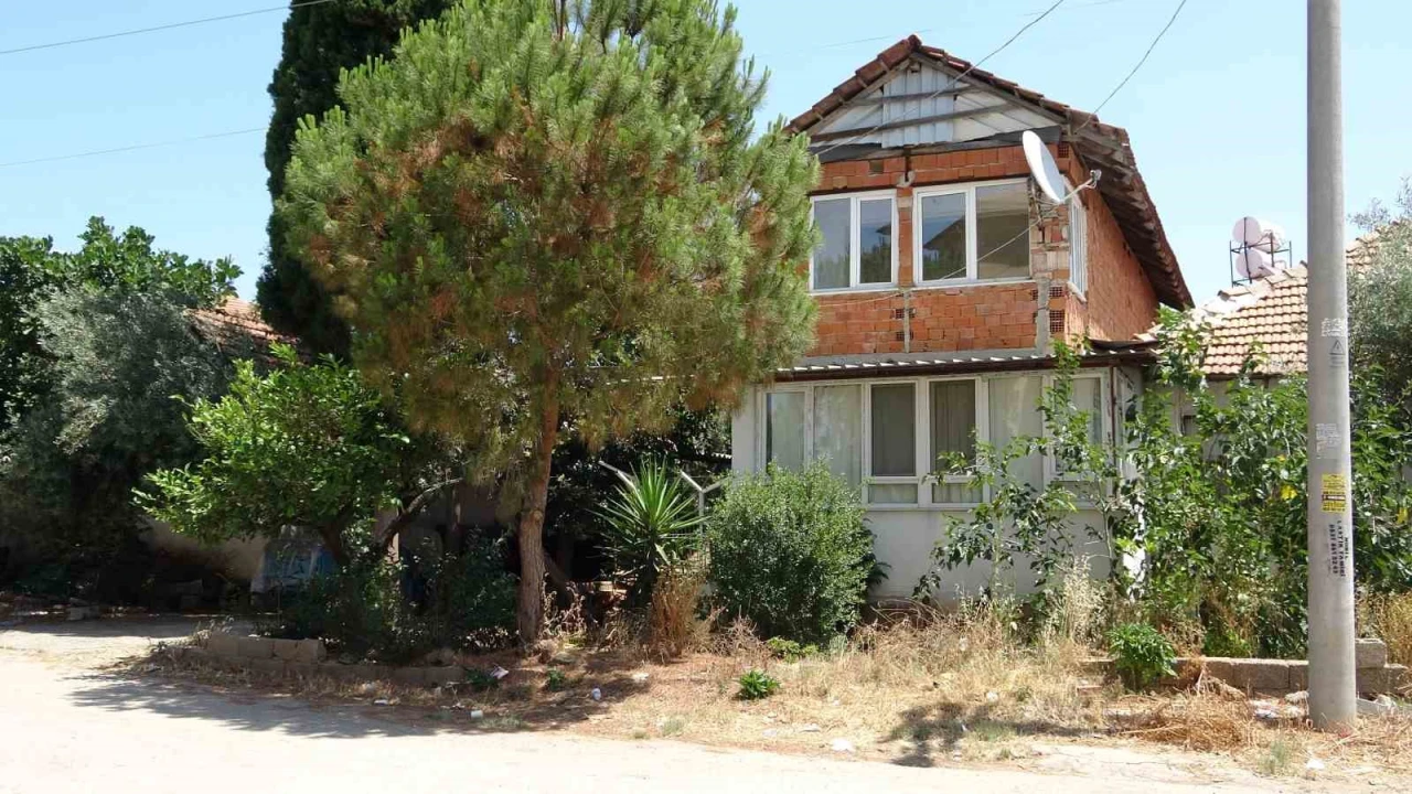 Antalyada kötü kokuların yayıldığı ev hayvanseverleri ayağa kaldırdı