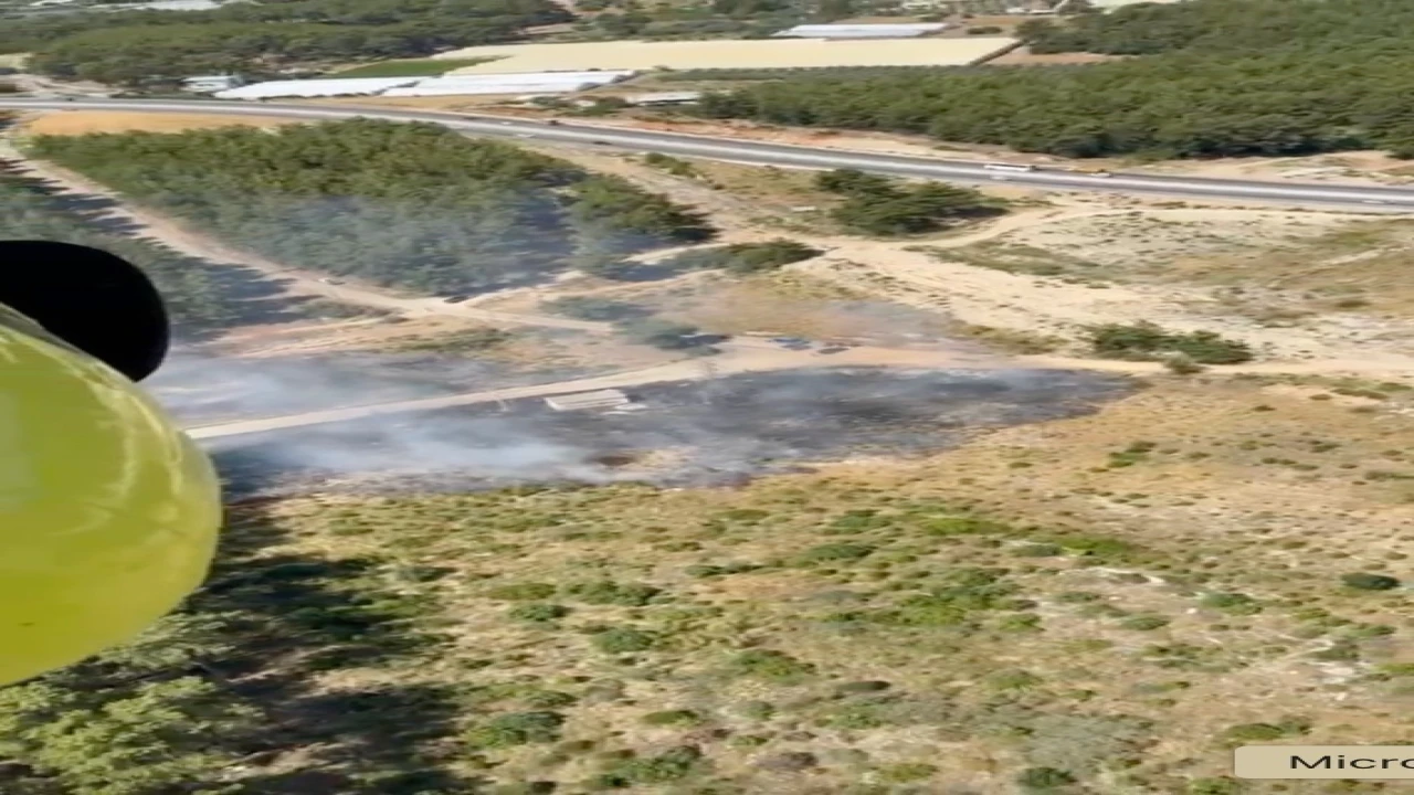 Antalyada orman yangını