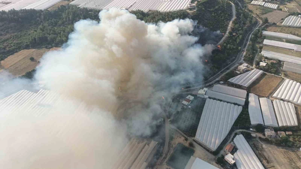 Antalyada orman yangını