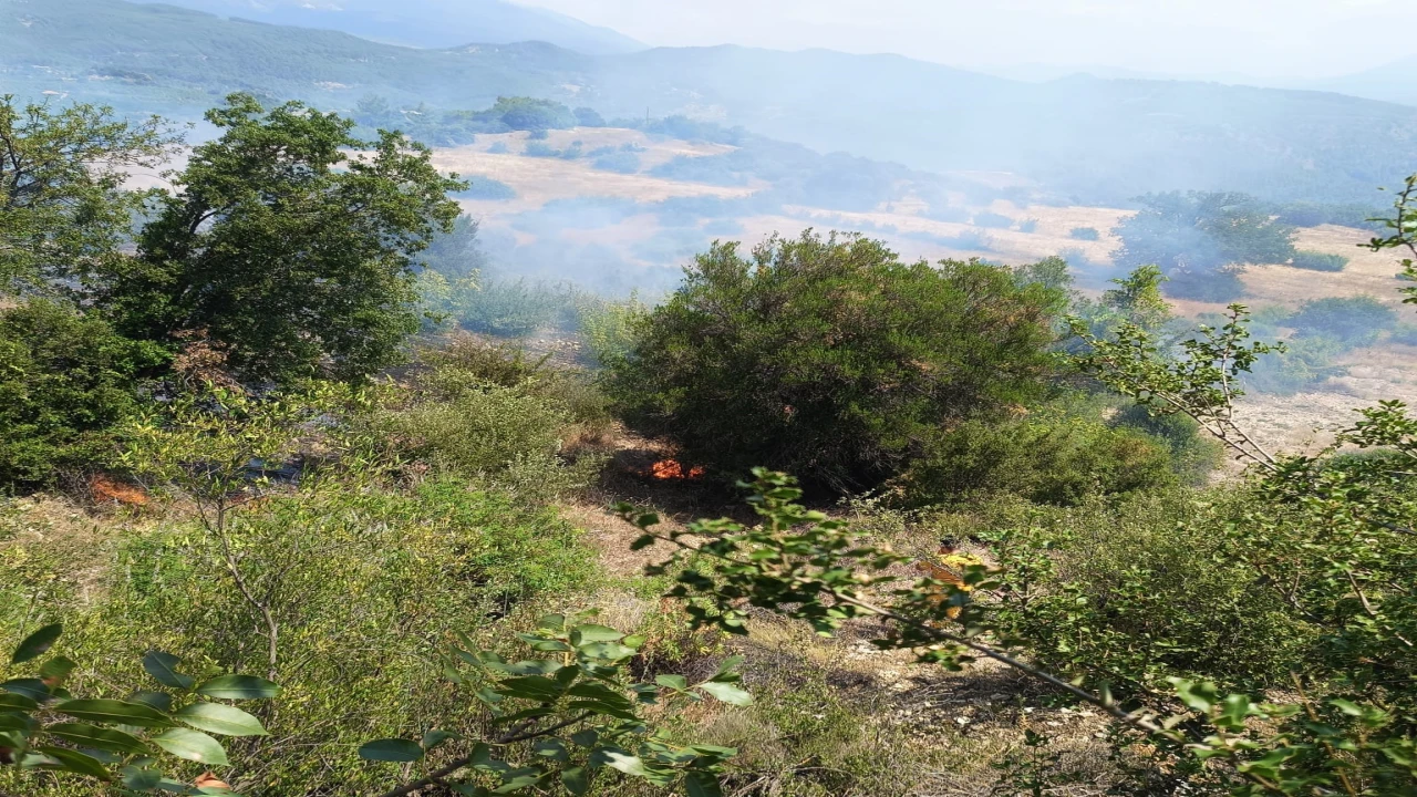 Antalyada ormanı tehdit eden yangın kontrol altına alındı