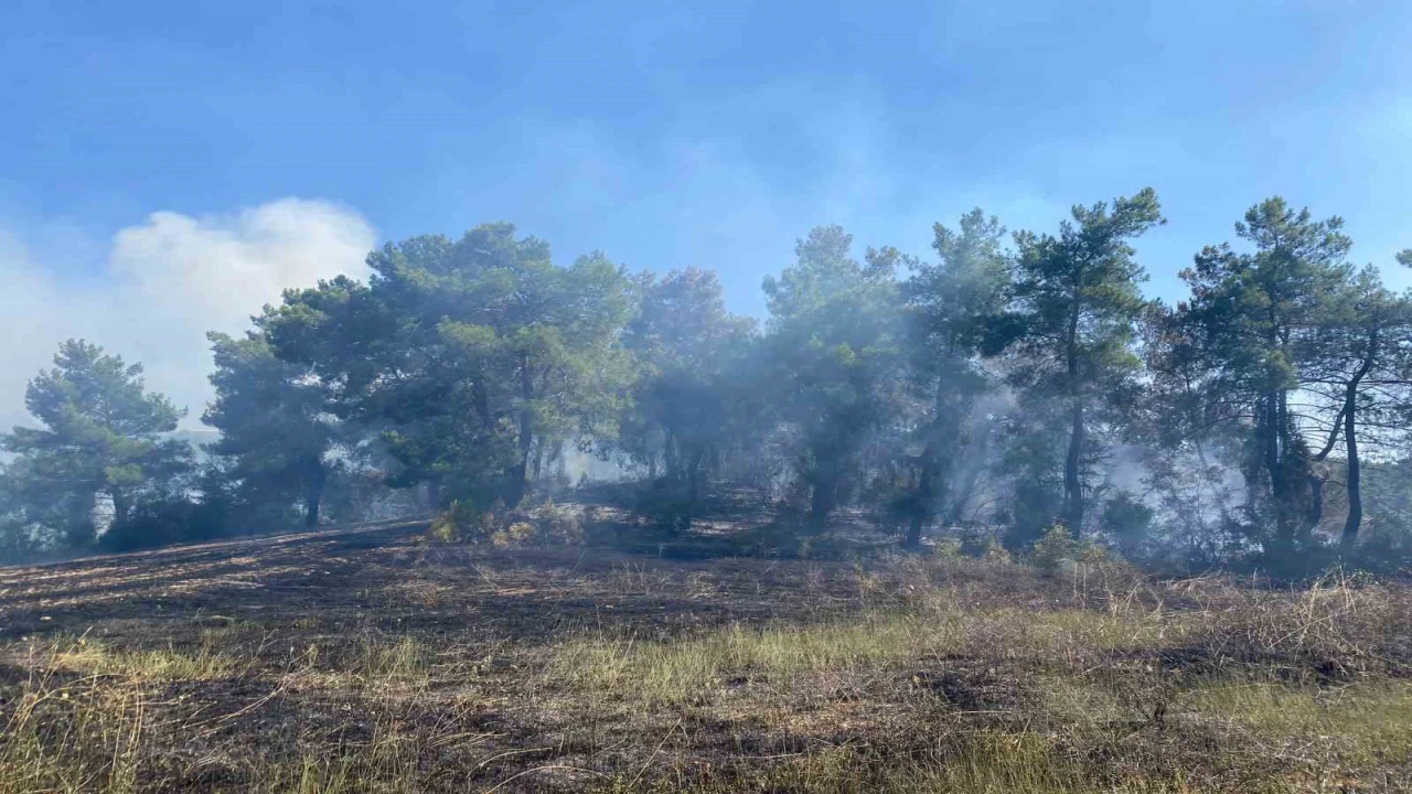 Antalyada ormanlık alanda çıkan yangın 2 saatte kontrol altına alındı