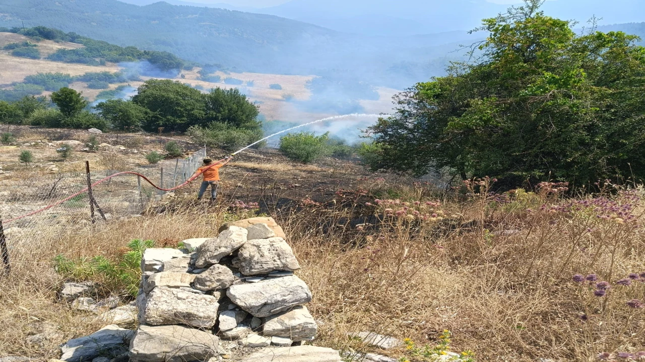 Antalyada ormanlık alanı tehdit eden yangına müdahale ediliyor