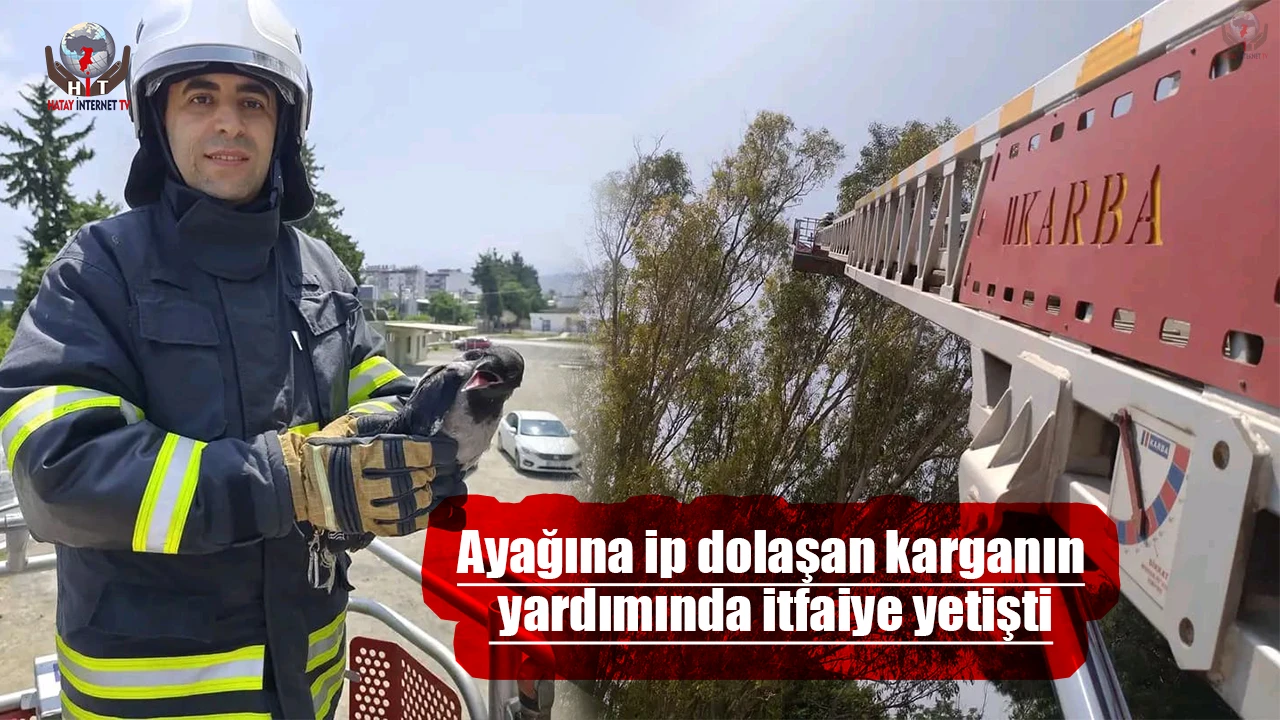 Arsuzda ayağına ip dolaşan karganın yardımında itfaiye yetişti