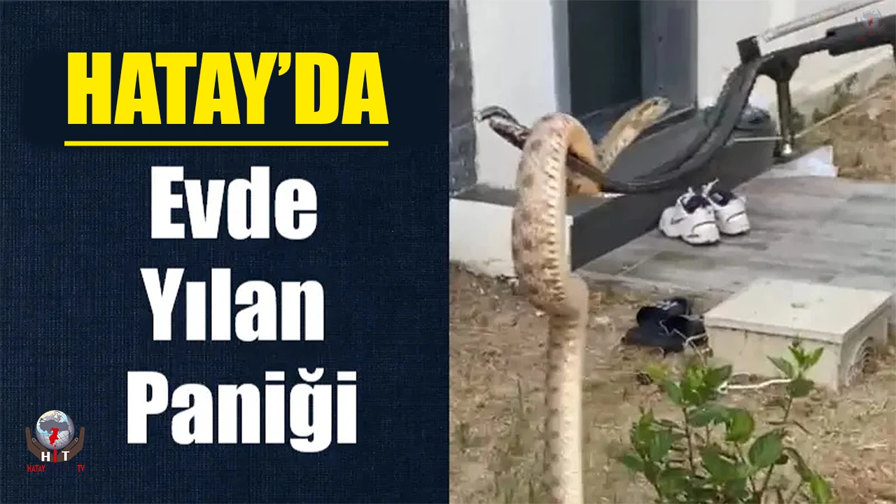 Arsuzda evin balkonunda yılan paniği