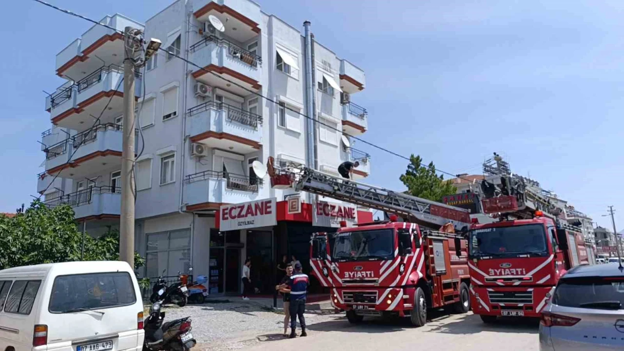 Baca yangını itfaiye ve jandarmayı alarma geçirdi