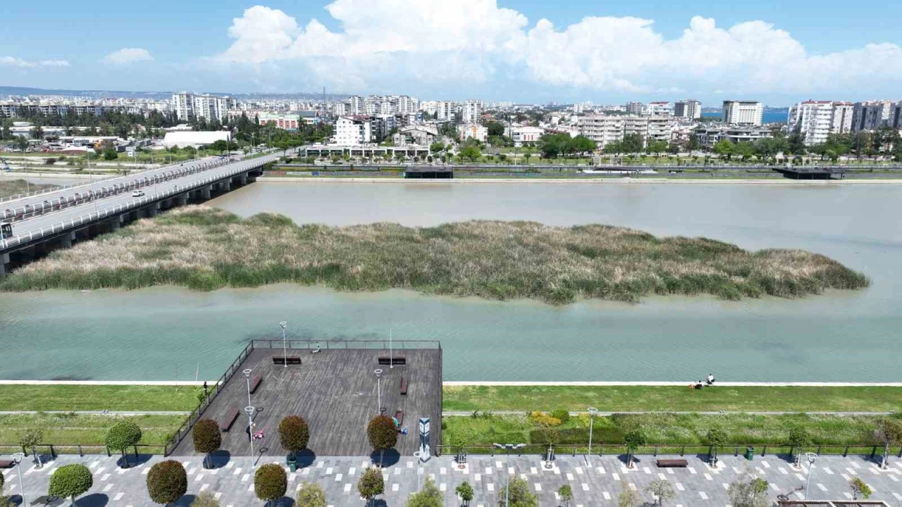 Boğaçayında 220 kuş türü gözlemlendi