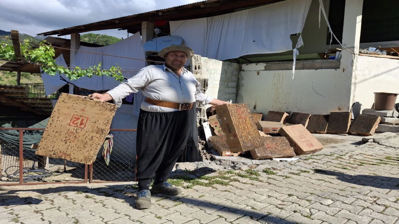 Bu da Adana usulü sinekle mücadele