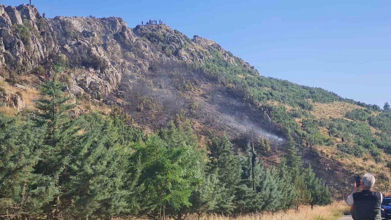 Bucaktaki orman yangını söndürüldü