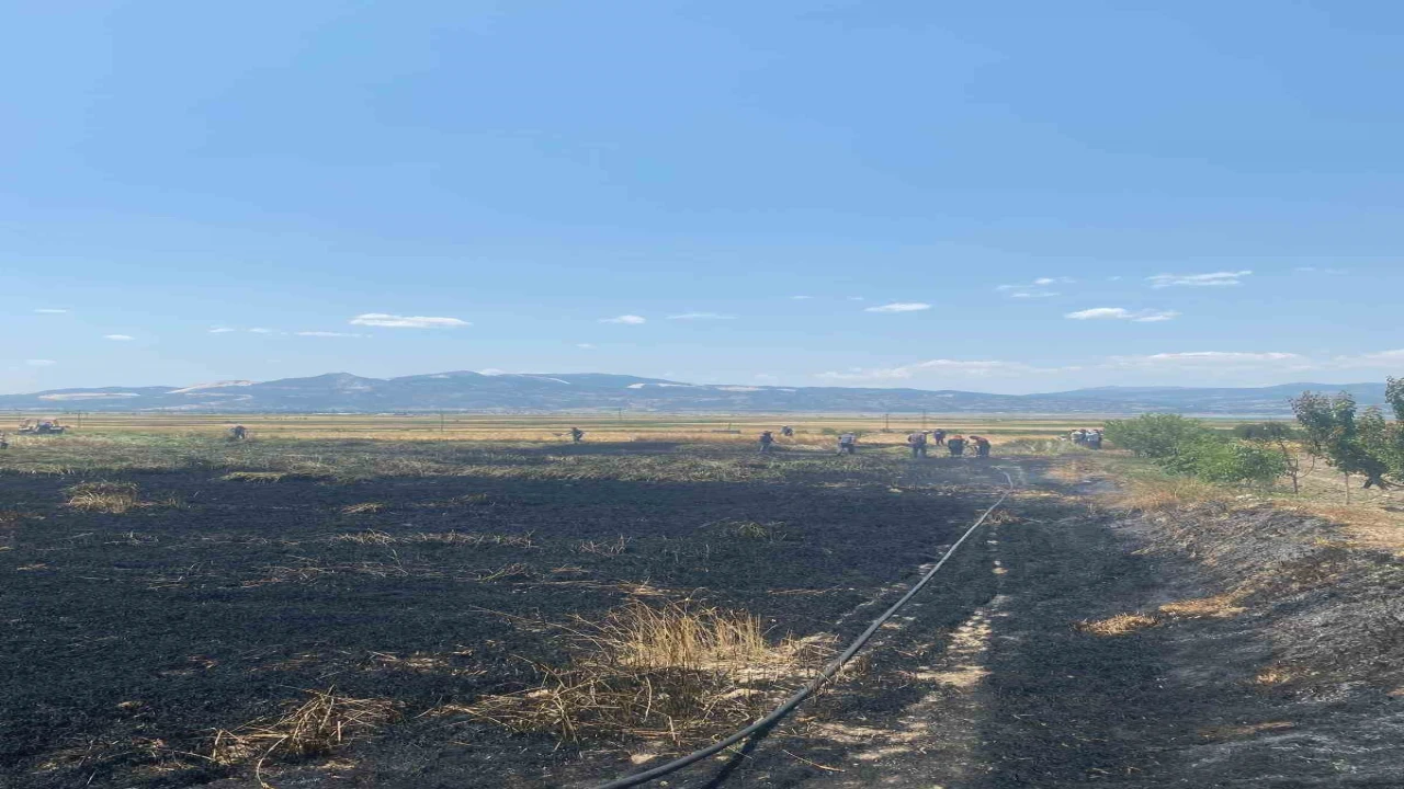 Burdurda çıkan yangında 3 dönüm ekili alan zarar gördü