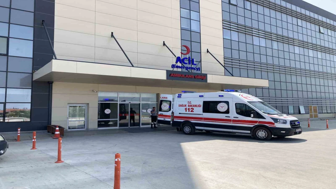 Burdurda üzerine kurban devrilen kadın ağır yaralandı