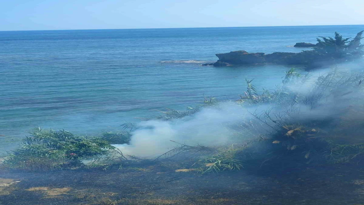Çalılık alandaki yangında 1 dönümlük alan zarar gördü