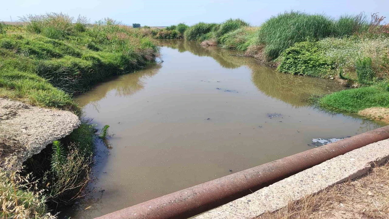 Dere yatağına kanalizasyon akıyor