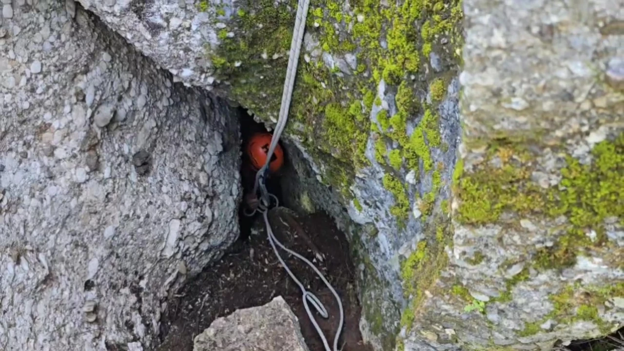 Düştüğü mağarada 3 gün mahsur kalan keçiyi kurtarma ekipleri çıkardı