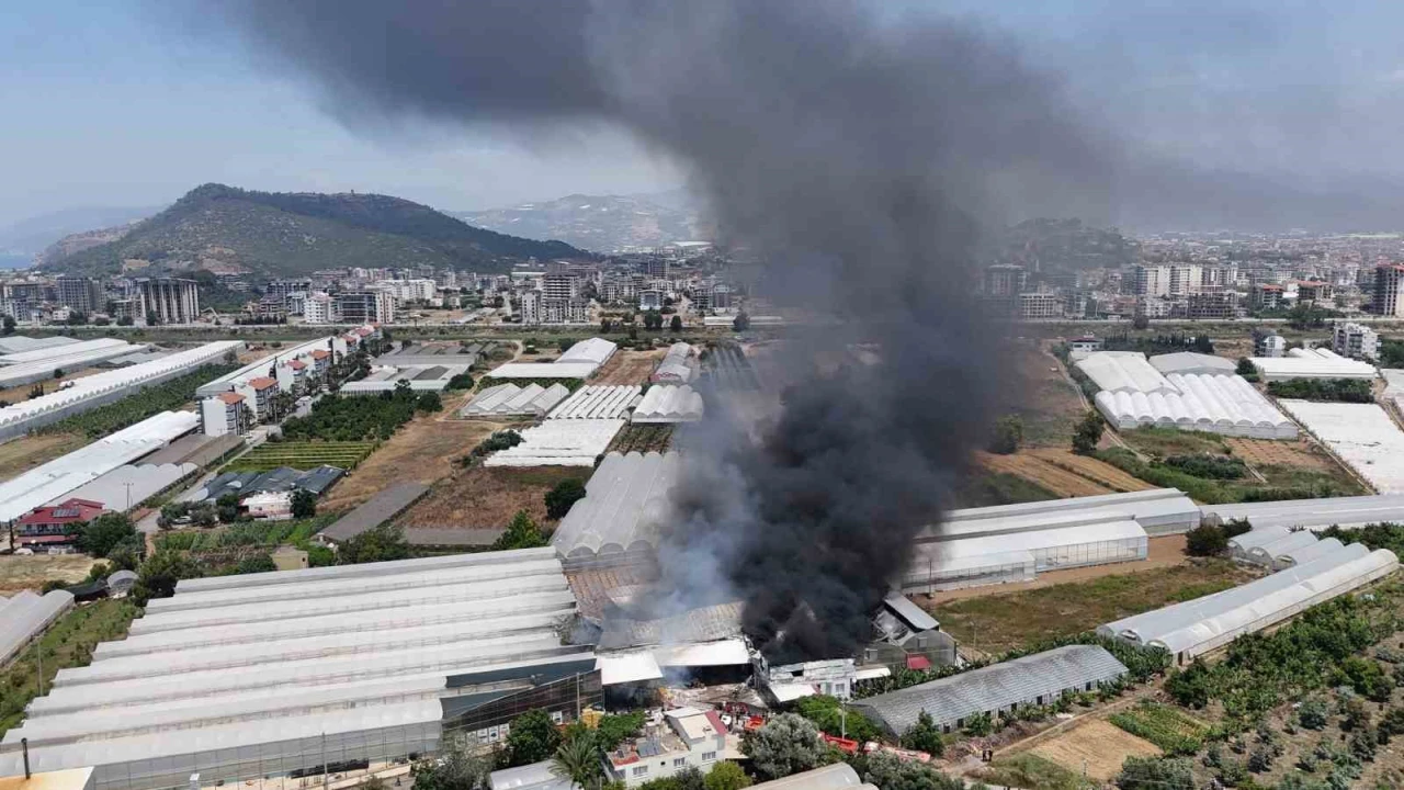 Fide üretim merkezi alev alev yandı çalışanlar gözyaşlarına boğuldu