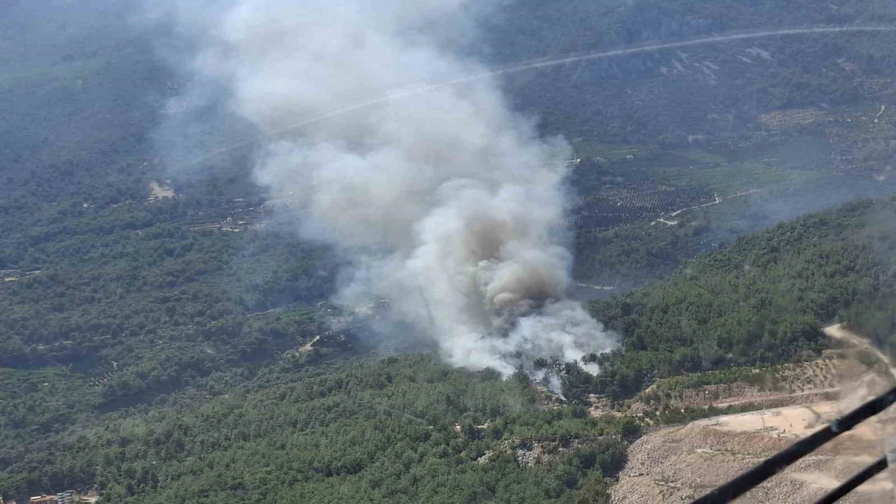 Finikede orman yangını