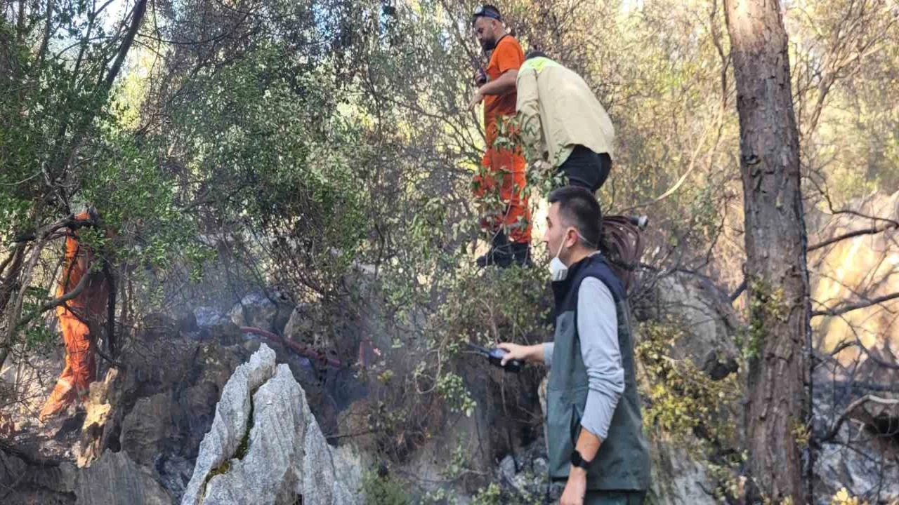Finikedeki orman yangını kontrol altına alındı