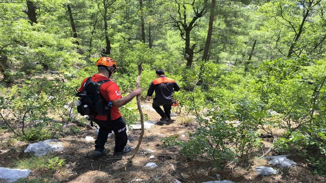 Gazipaşada kaybolan yaşlı adamı arama çalışmaları 7. gününde sürüyor