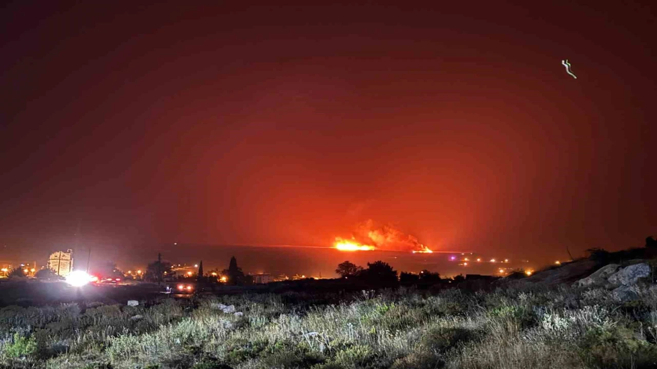 Göksu Deltasında sazlık alanda yangın