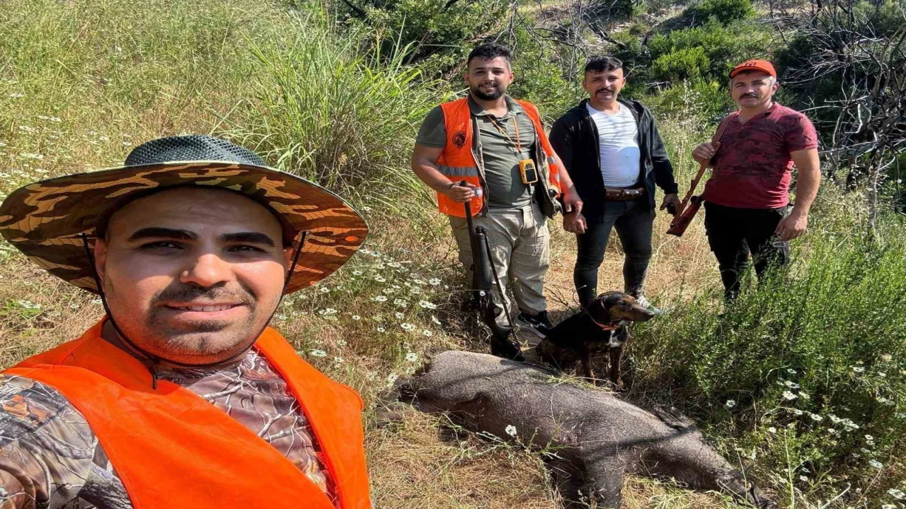 Gündoğmuşta domuz sürek avı düzenlendi