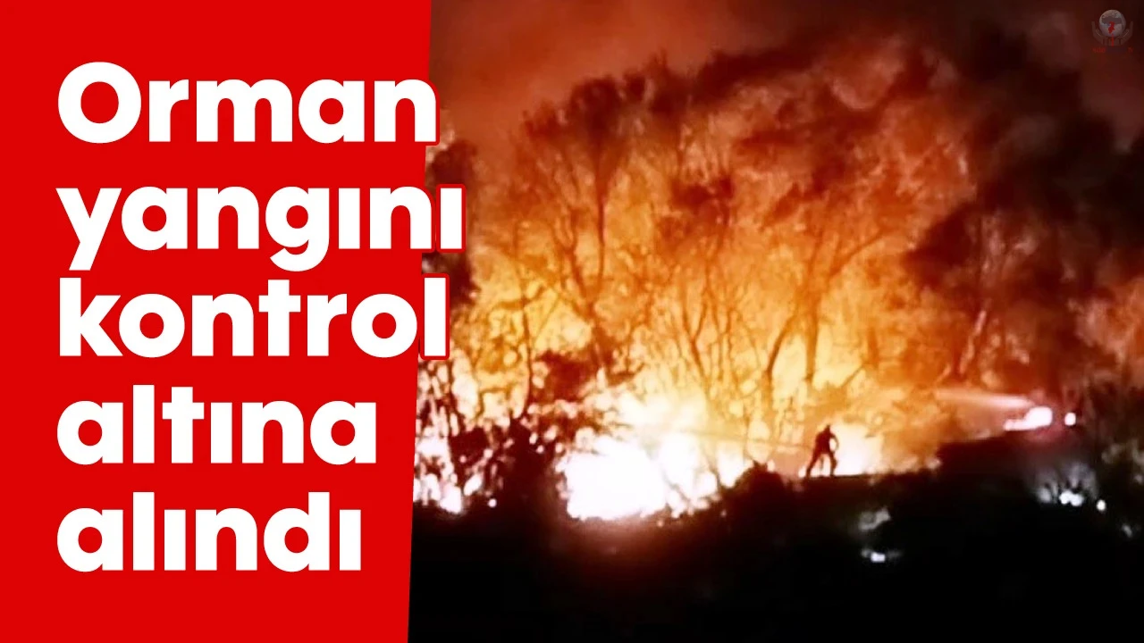 Hatayda çıkan orman yangını kontrol altına alındı