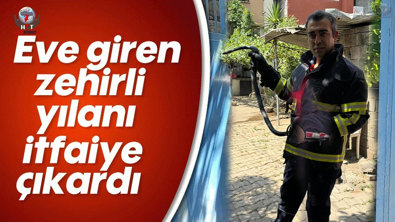 Hatay'da Eve Giren Yılan Yakalandı