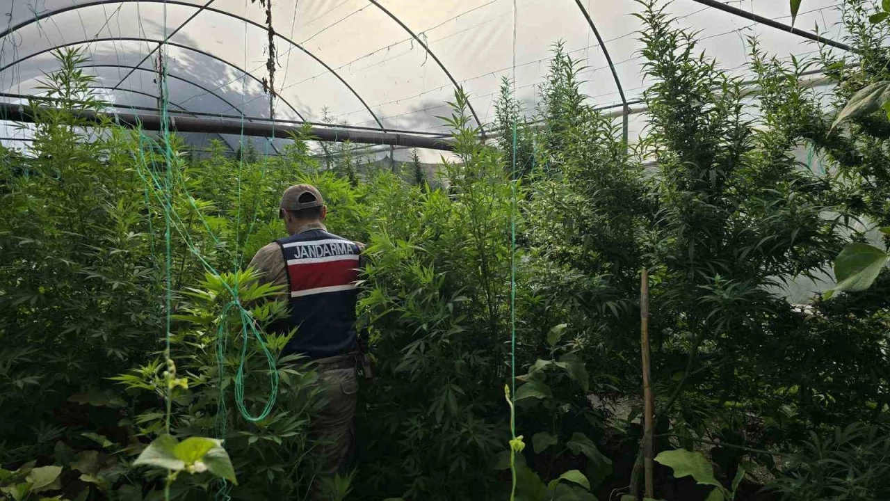 Hatayda jandarma ekipleri 83 şahsın evinde ve iş yerinde arama yaptı